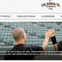 Visual Design & Website Development