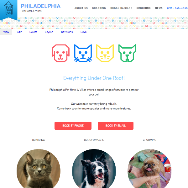 Visual Design & Website Development